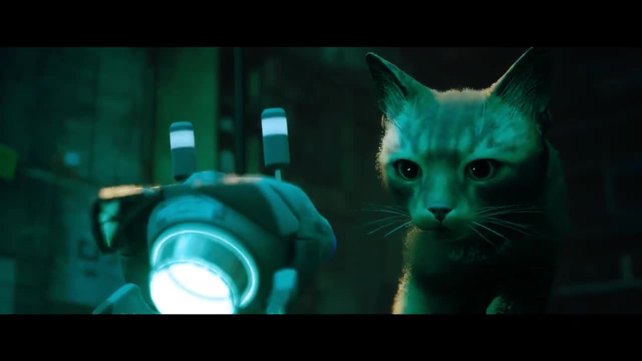 Stray – Announcement Trailer – Nintendo Switch Trailer