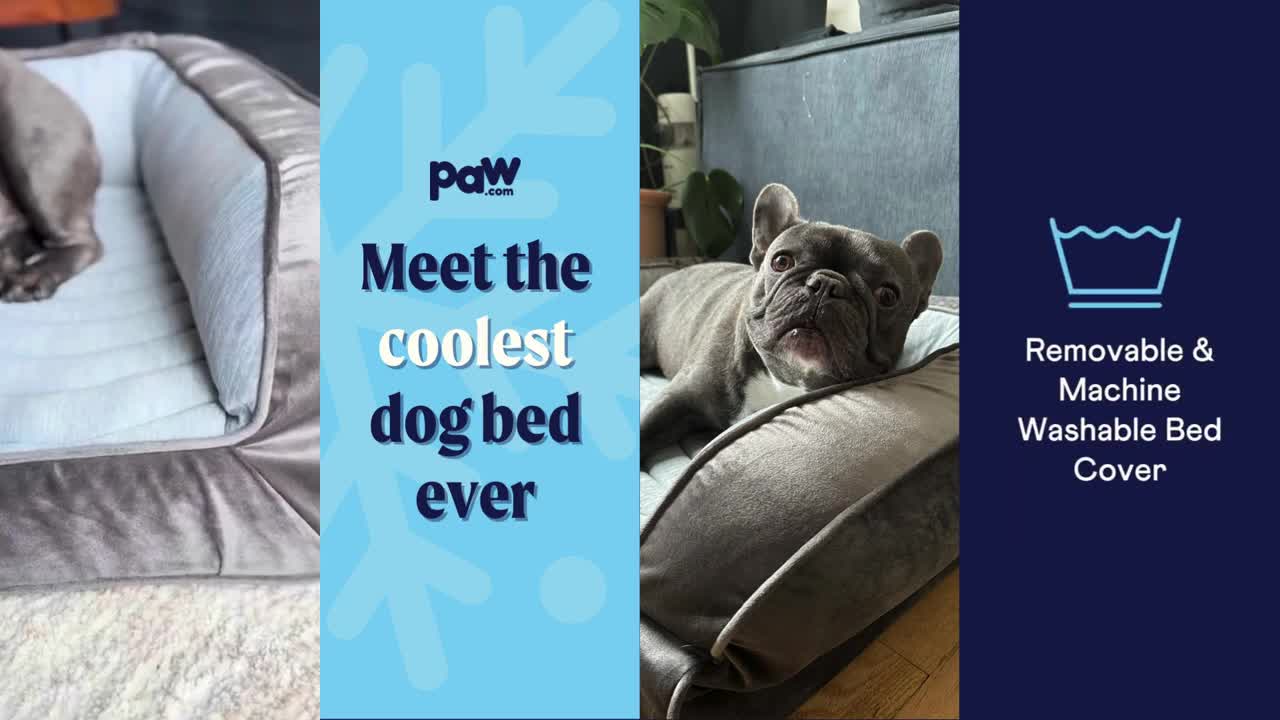 Paw.com Cool Down Your Pup! 🐾 PupChill Cooling Bolster Dog !