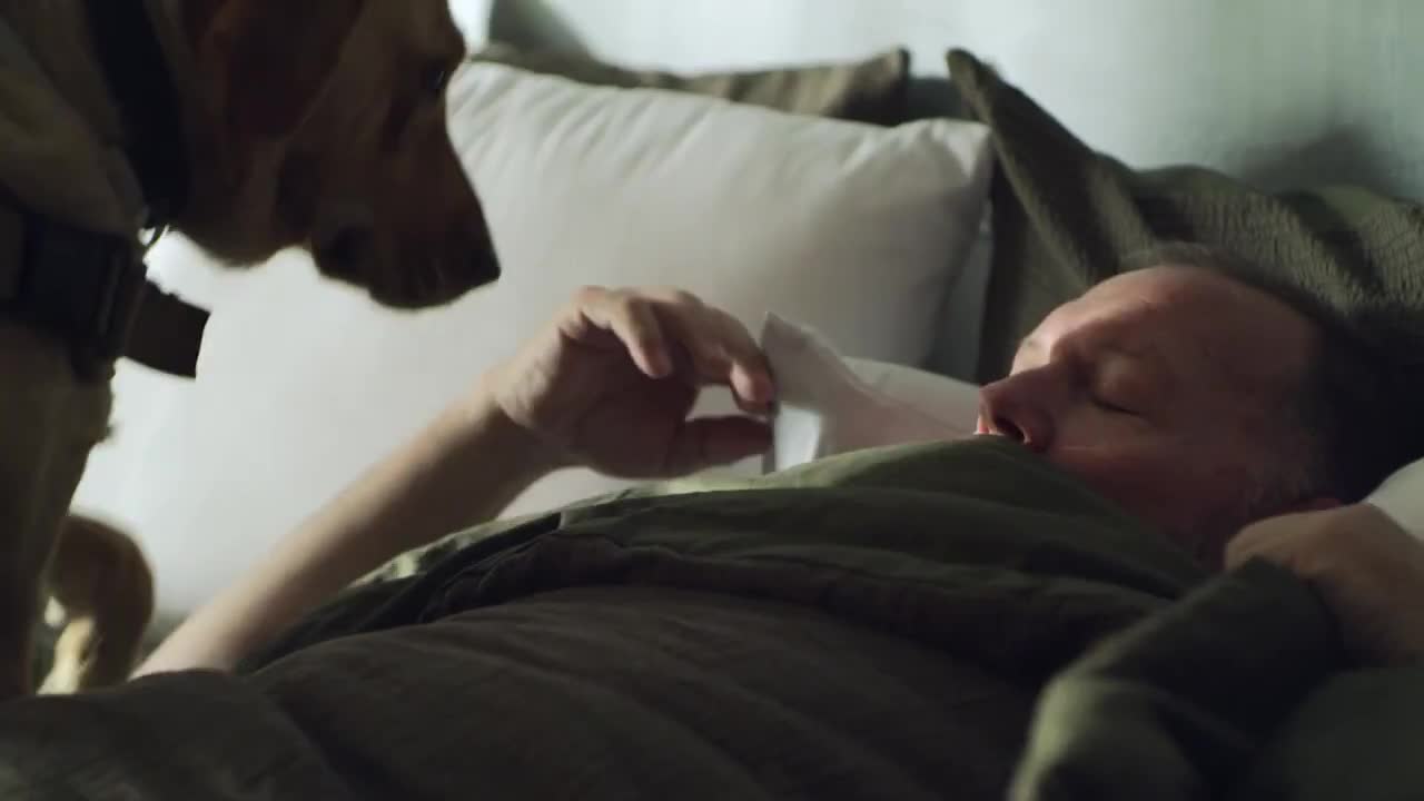 Purina The Dog Chow Service Dog Salute Mission