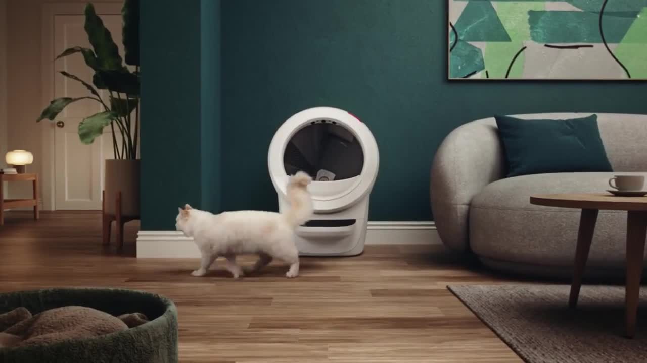 Litter-Robot Hello - the solution to the litter box problem