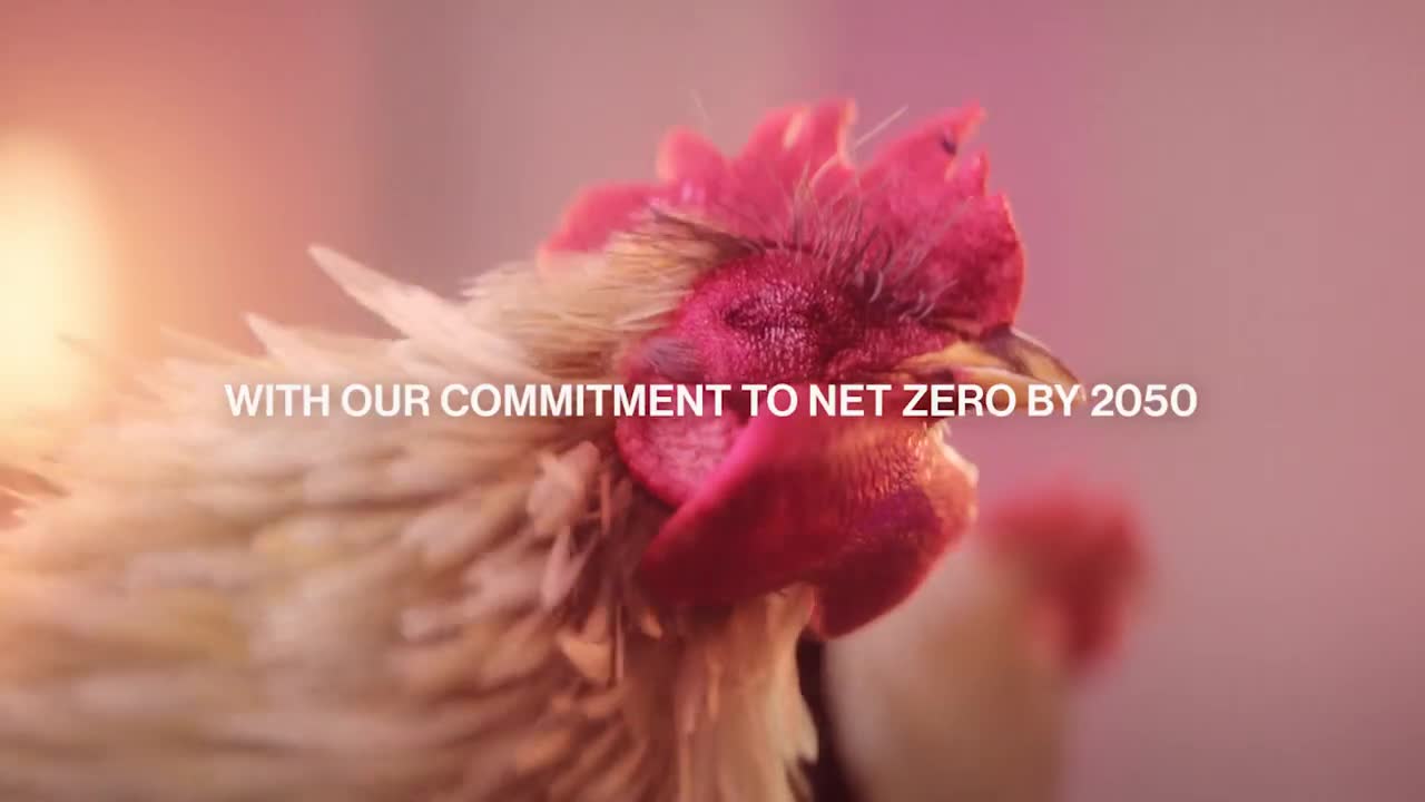 Enbridge Tomorrow is on: Net Zero by 2050