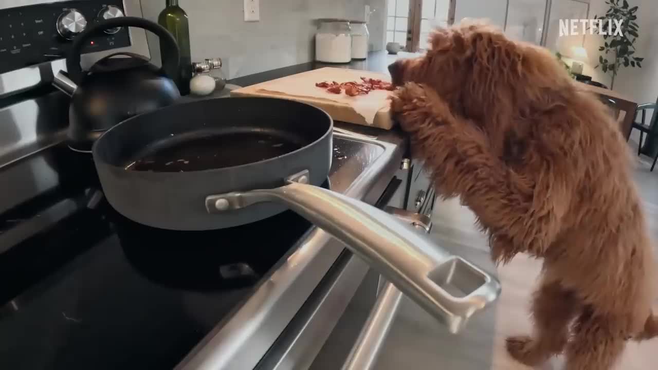 Netflix Inside the Mind of a Dog | Official Trailer | Netflix