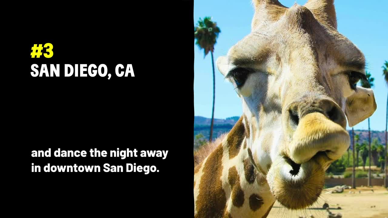 MoneyLion Top Unique Vacation Spots in 2024 - MoneyLion