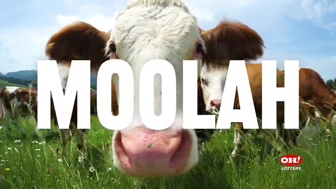 Ohio Lottery $30 Dollar Cashword Cash Rap