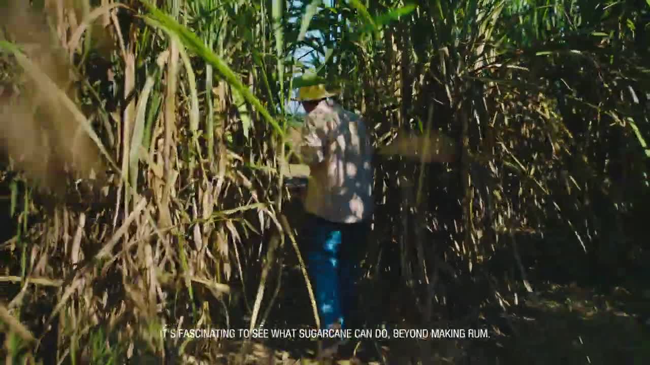 Bacardí Camila Cabello Present: The Sugarcane Vinyl