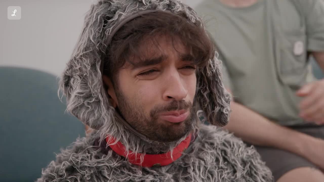  Pet Insurance: You’ll wish you were a pet - Treat