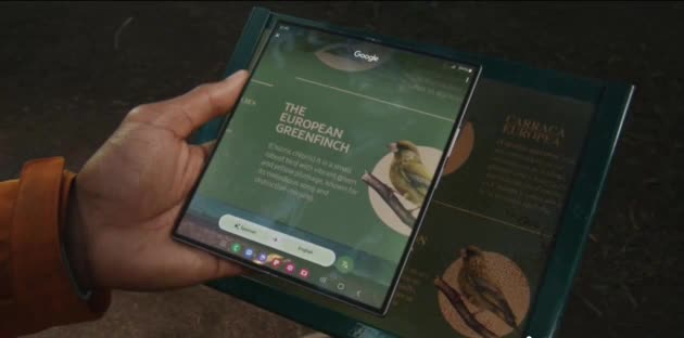 Samsung Galaxy Z Fold6 'Land of the Birds'