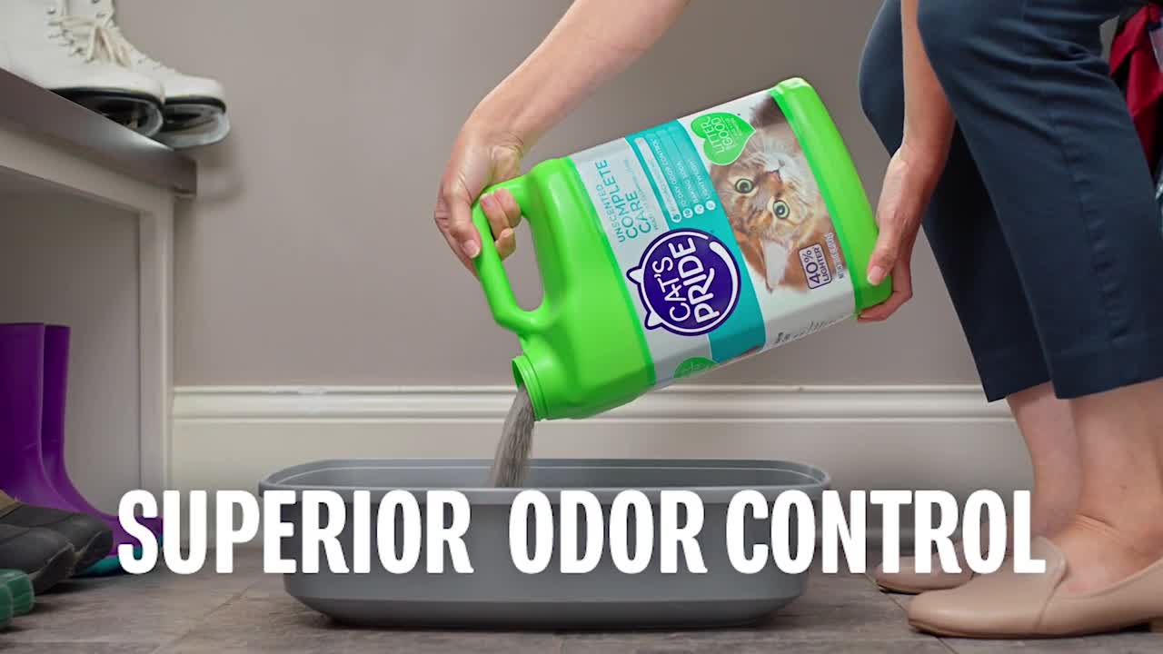 Cats Pride Go For the Medal