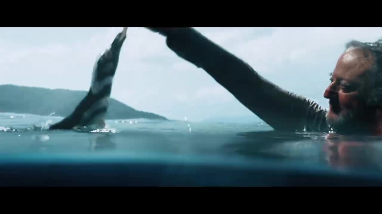 MY PENGUIN FRIEND | Extra Mile | In Theaters August 16 Trailer