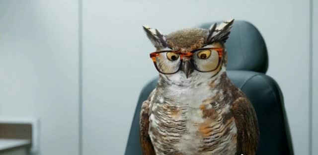 America's Best Contacts & Eyeglasses 'Reading the Eye Chart'