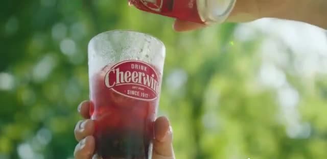 Cheerwine 'How to Describe'