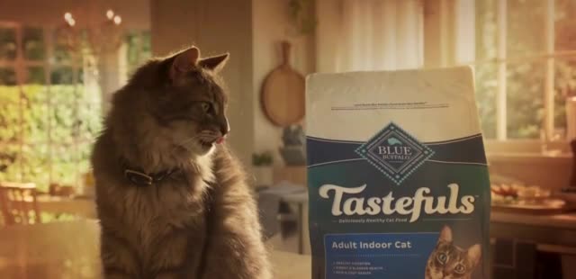 Blue Buffalo Tastefuls cat