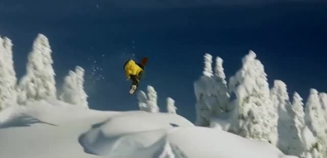 YETI Coolers 'Joy to the Wild'