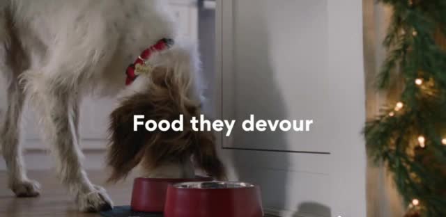 Chewy.com '2024 Holiday: Sitewide'