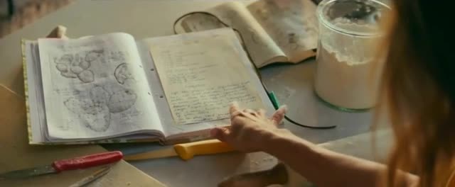 Lincoln Financial Group 'The Action Plan'