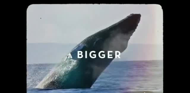 Celebrity Cruises Black Friday 'Nothing Comes Close 75% off Second Guest'