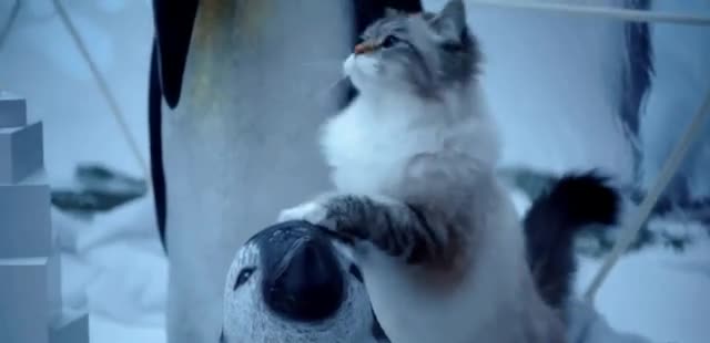 Pumpkin 'Cat Snow Day'