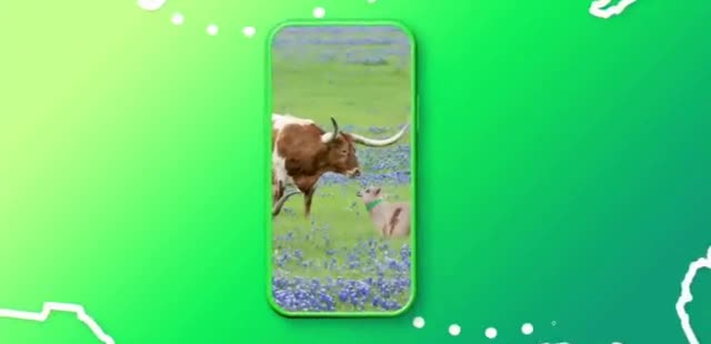 Cox Mobile 'Service That Goes Where You Go'