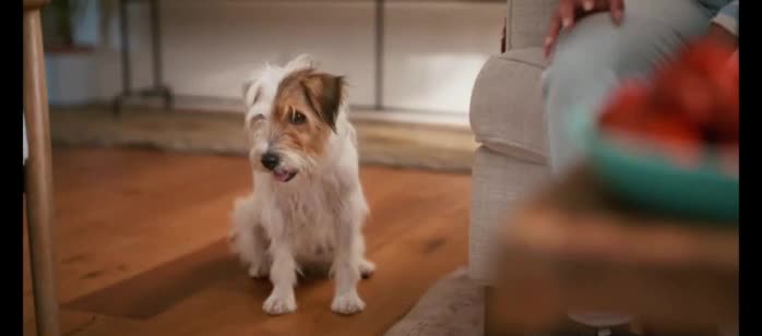 Good 'n' Fun 'Game Day'