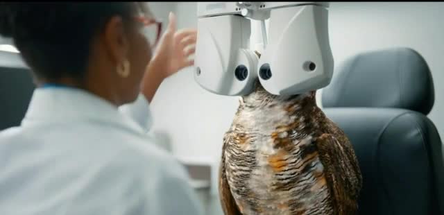 America's Best Contacts & Eyeglasses 'Giving Fresh Starts: Insurance'