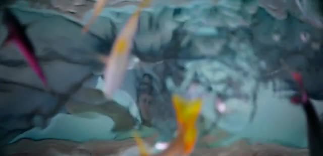 Sandals Resorts 'Made of Caribbean: Close'