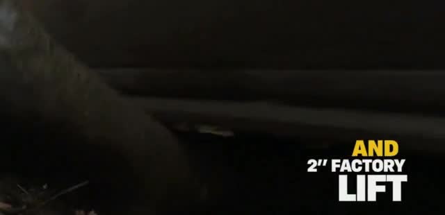 Chevrolet 2025 Chevrolet Silverado Trail Boss 'Say No to Nothing'