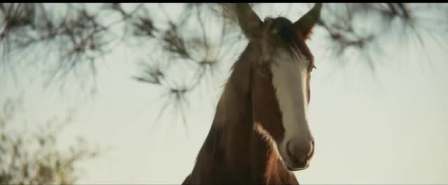  Super Bowl 2025 Extended 'First Delivery'