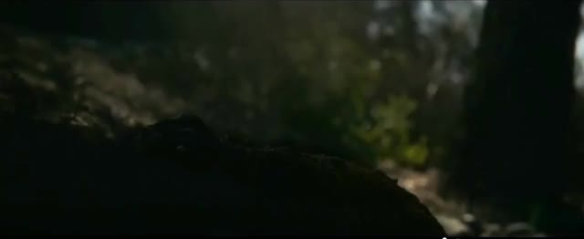 Budweiser Super Bowl 2025 'First Delivery' the Bellamy Brothers