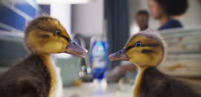  Platinum Plus PowerSuds 'Atrapados'