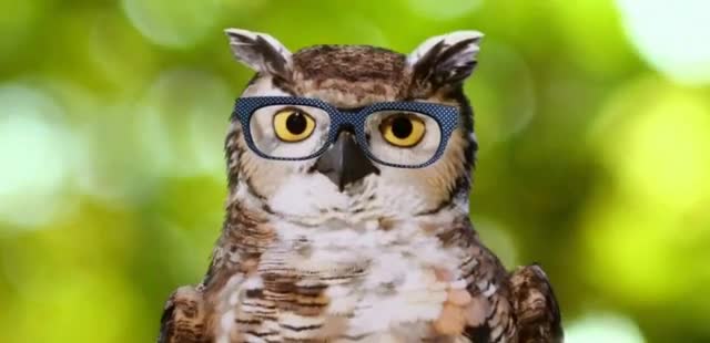  'Guess What: Pair Eyewear Starting at $139.95'