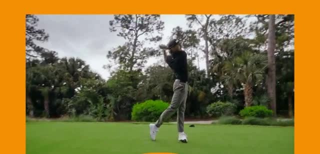 Carl's Golfland 'DS Adapt by Cobra'