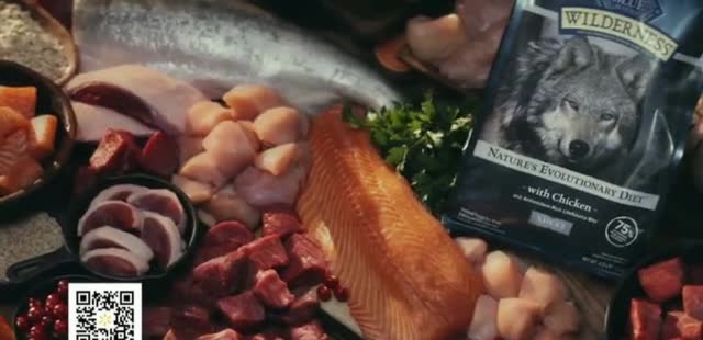 Blue Buffalo BLUE Wilderness 'Call of the Wild Kurgo Kibble Carrier'