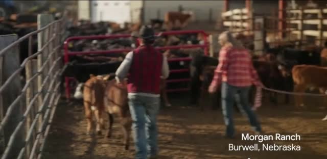 Google Workspace 'Morgan Ranch'