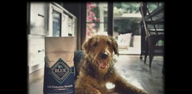  'Promise: Best Friend Match'