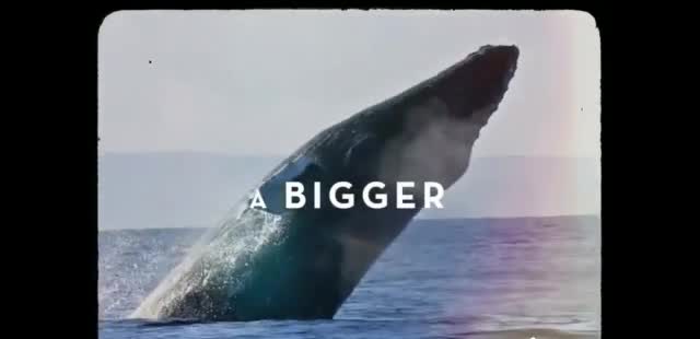 Celebrity Cruises 'Nothing Comes Close: Sorry Not Sorry'