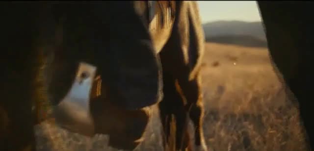 Tecovas 'Forever West' Song by Dean Johnson