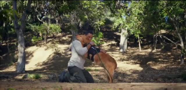 Purina 'Service Dog Salute: PTSD'