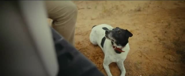 YETI Coolers 'Golfing'