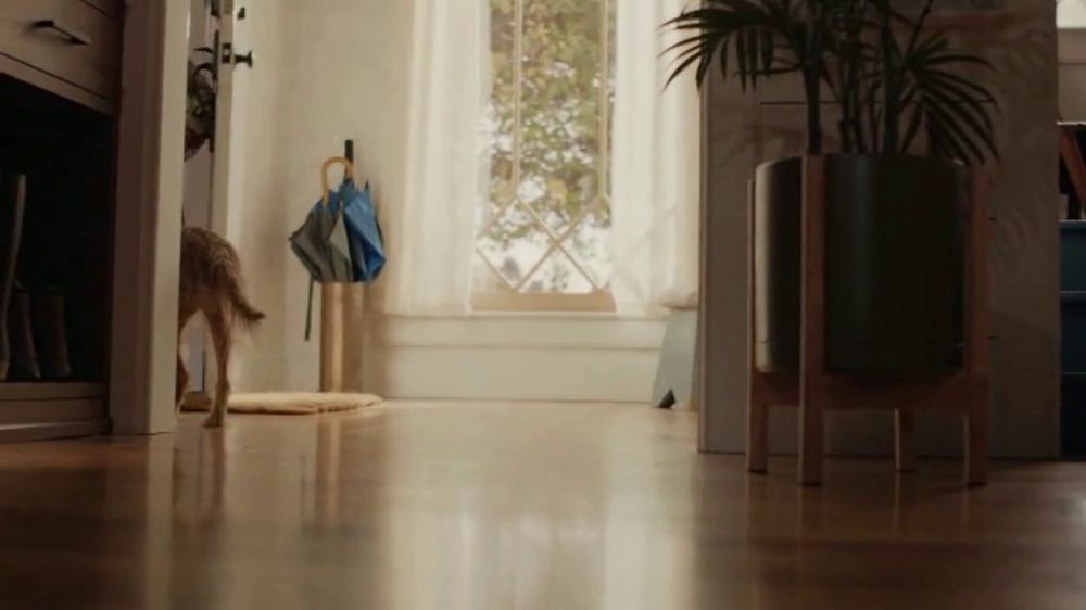 California Closets No-Tripping-Over-a-Shoe-Pile Moment (2025 TV Spot)