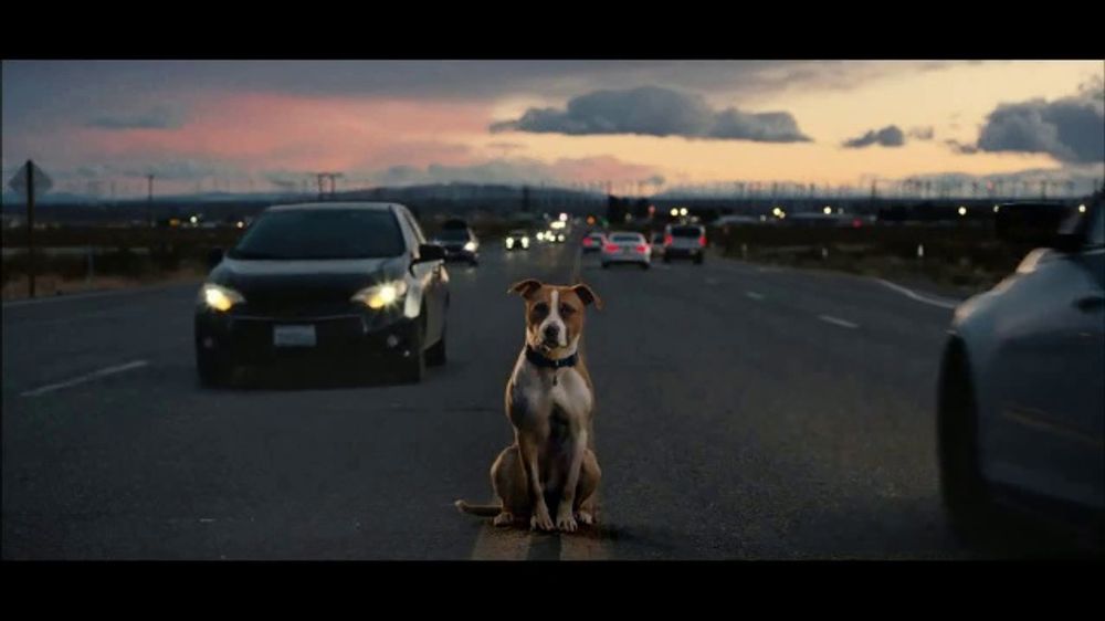 Subaru Everything We Love (2026 TV Commercial)