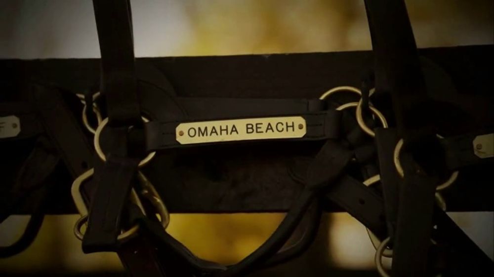 Spendthrift Farm 2025 General Sire (TV Commercial)