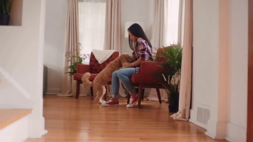 Purina 100,000 Quality Checks Campaign 2026