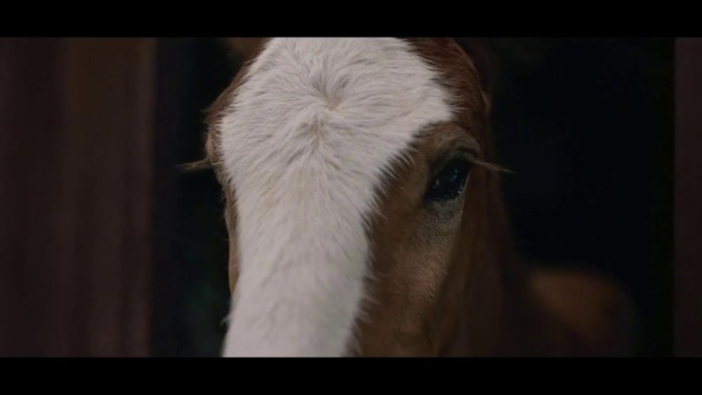 Budweiser Super Bowl 2026 “Foal” (Teaser)