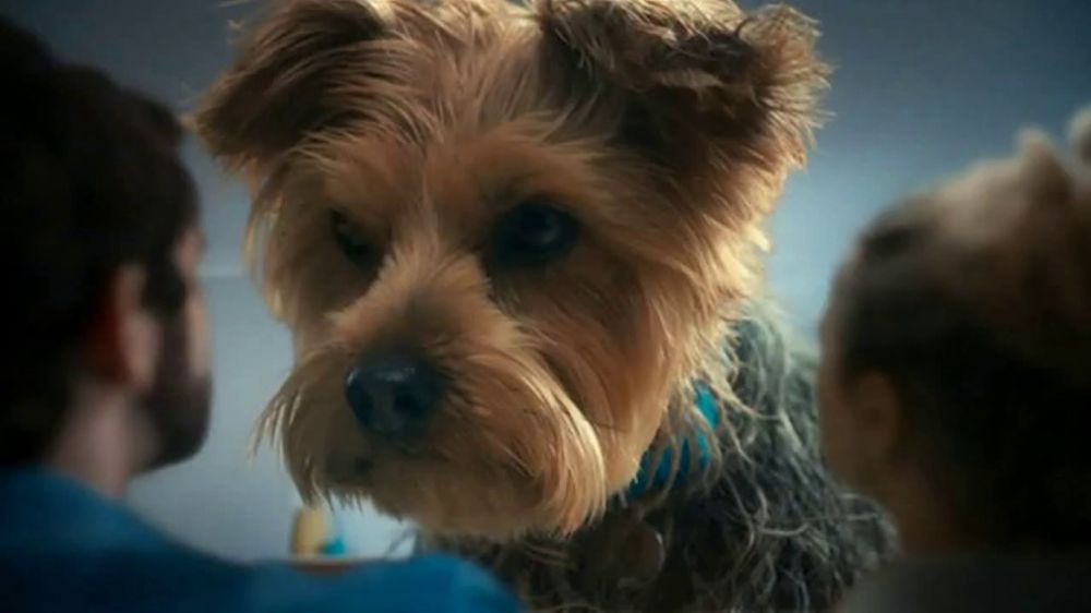 Febreze Air Mist: Big Odors