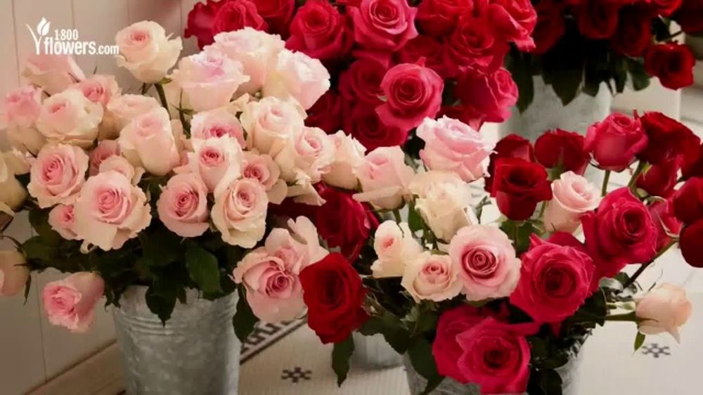 1-800-FLOWERS Valentine’s Day: You Shouldn’t Have to Wonder 🌹💌❤️