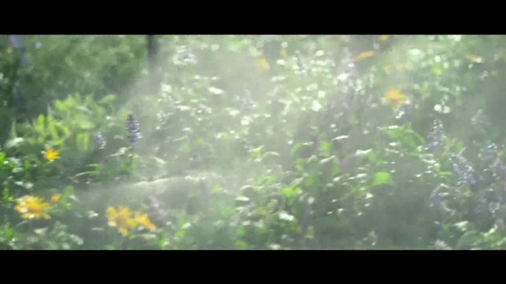 Lowe's Make The Neighbors Jealous (2026)