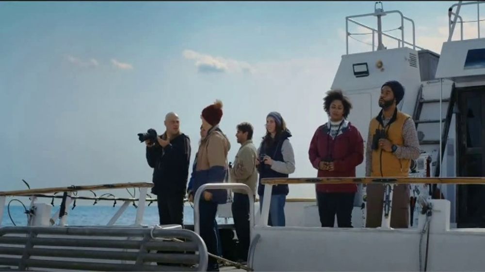 Southwest Airlines Southwest Whales + 2026