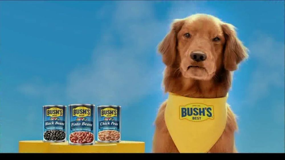 Bushs Best Family Beginnings – 2026