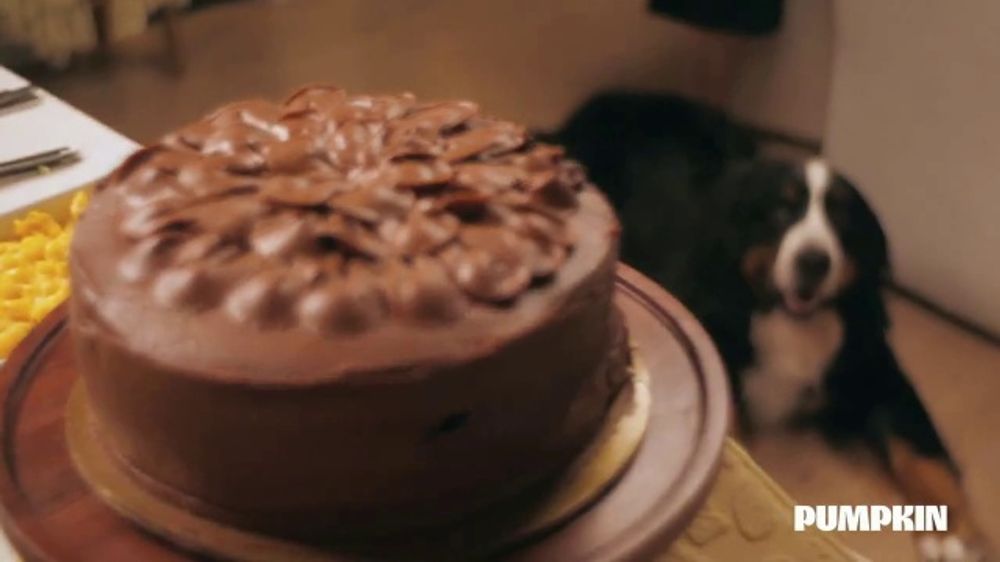 Pumpkin Be Prepared + 2026