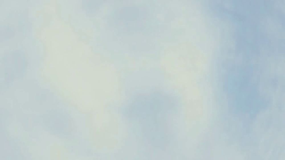 Stella Rosa Wines Holiday Celebration + 2026